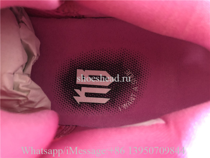 Nike Kobe Protro 6 Think Pink