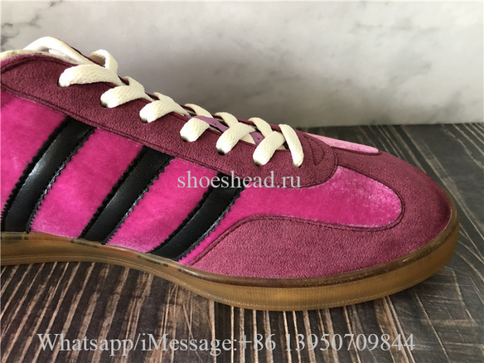 Adidas Gucci x Gazelle Velvet Low Top Sneaker