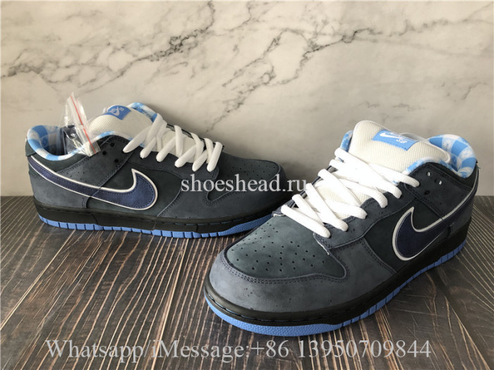 Concepts x Nike SB Dunk Low Blue Lobster