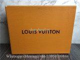 Louis Vuitton Brown Slide