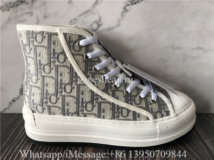 Dior B23 High Top Sneaker Dior Oblique