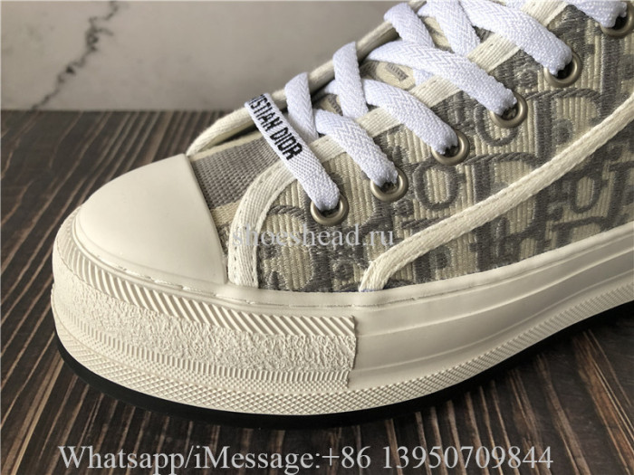 Dior B23 High Top Sneaker Dior Oblique