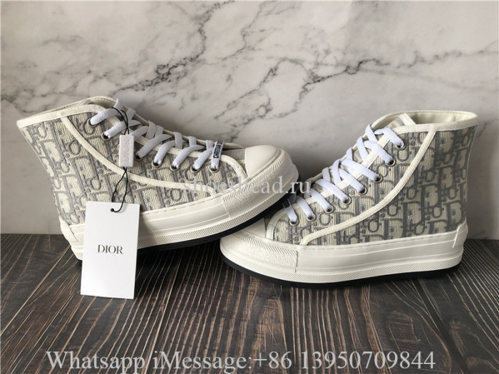 Dior B23 High Top Sneaker Dior Oblique