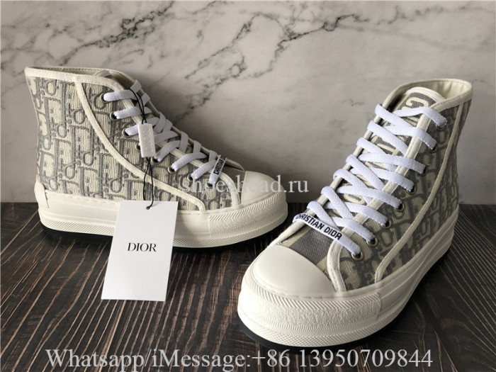 Dior B23 High Top Sneaker Dior Oblique