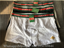 Gucci Underpants 01