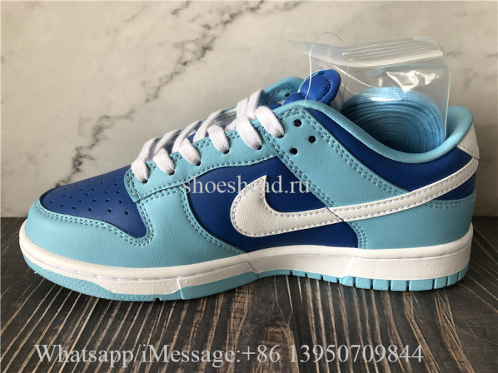 Nike Dunk Low Argon