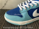 Nike Dunk Low Argon