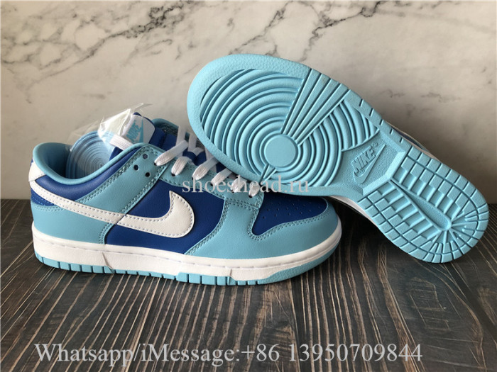 Nike Dunk Low Argon