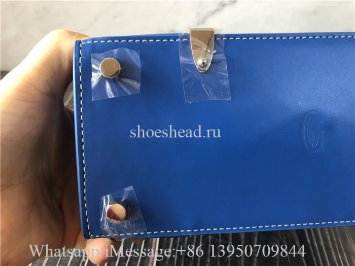 Original Goyard Goyardine Structure Mini Saigon Sky Blue Bag