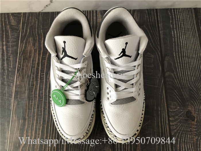 Air Jordan 3 Retro Hide N Sneak