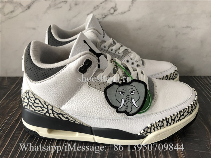 Air Jordan 3 Retro Hide N Sneak