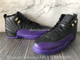 Air Jordan 12 Field Purple