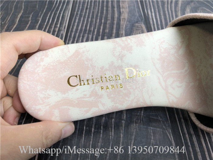 Christian Dior Dway Slide Pink Slide