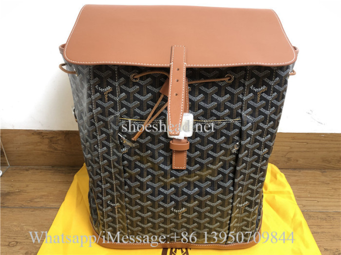 Goyard Pre-Owned Alpin MM Backpack