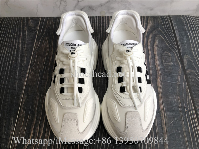 Dolce & Gabbana Daymaster Sneaker In White Nylon And Leather