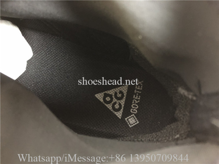 Nike ACG Gore-Tex Mountian Fly