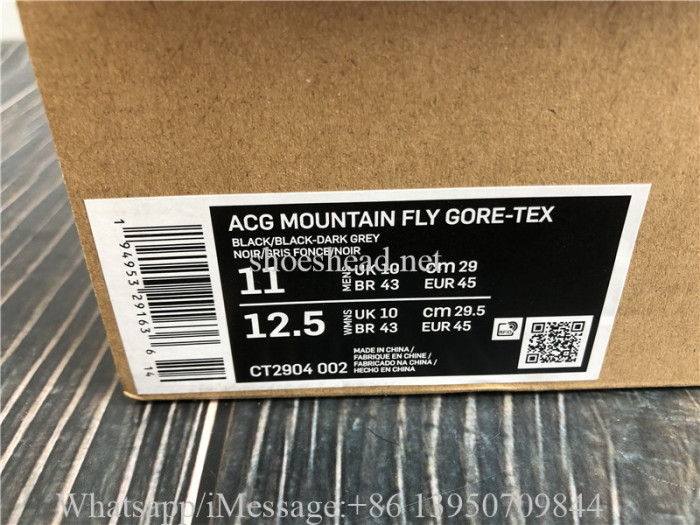 Nike ACG Gore-Tex Mountian Fly