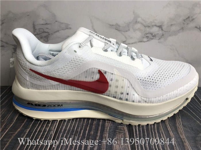 Nike Pegasus Premium Forrest Gump White