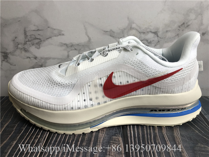 Nike Pegasus Premium Forrest Gump White