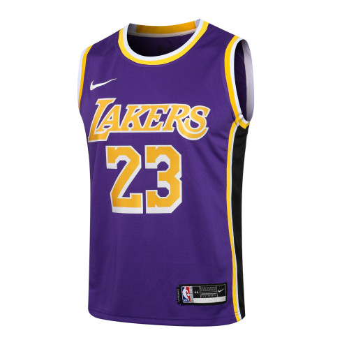 LeBron James Los Angeles Lakers Nike 2020/21 Swingman Jersey - Purple