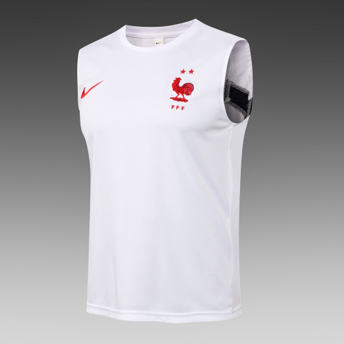France Training Jersey 21/22 White