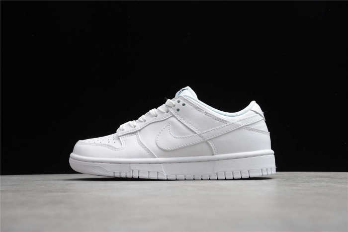 Nk SB Dunk Low Prm DD1503-109