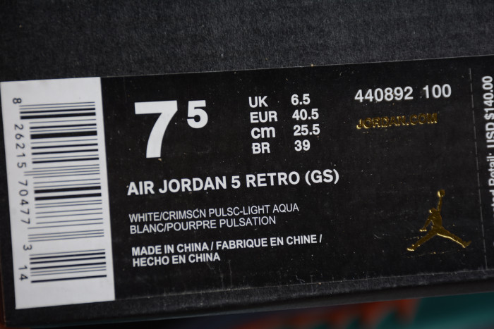 Air Jordan 5 Light Aqua 440892-100