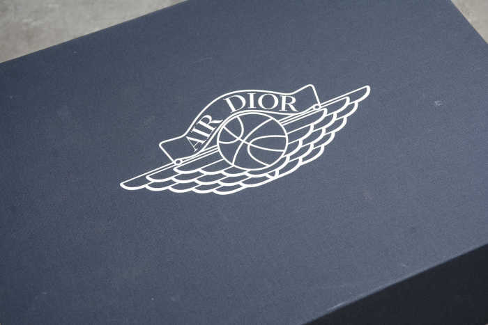 Dior x Air Jordan 1 High OG CN8607-002