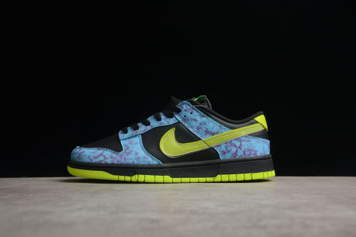 SB Dunk Low RETRO DV1694-900