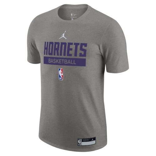 Charlotte Hornets Casual T-shirt 2023 Gray