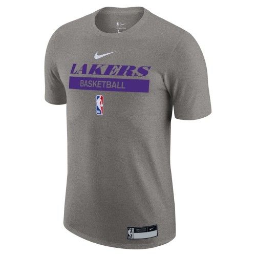 Los Angeles Lakers Casual T-shirt Gray 2023
