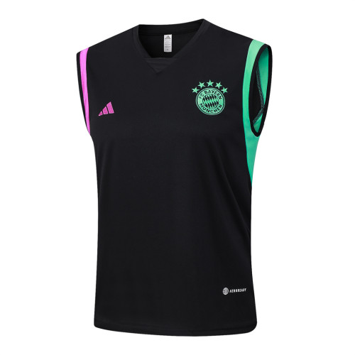 Bayern Munich Training Jersey 23/24