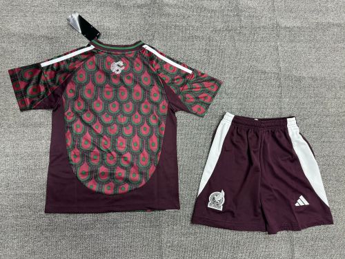 Mexico 2024 Copa America Home Kids Suit