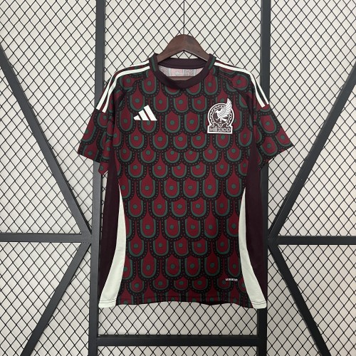 Mexico 2024 Copa America Home Man Jersey