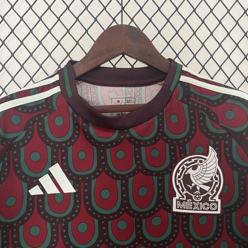 Mexico 2024 Copa America Home Man Jersey