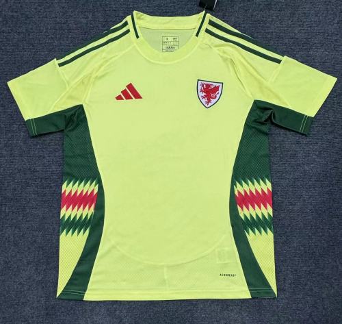 Wales Euro 2024 Away Man Jersey