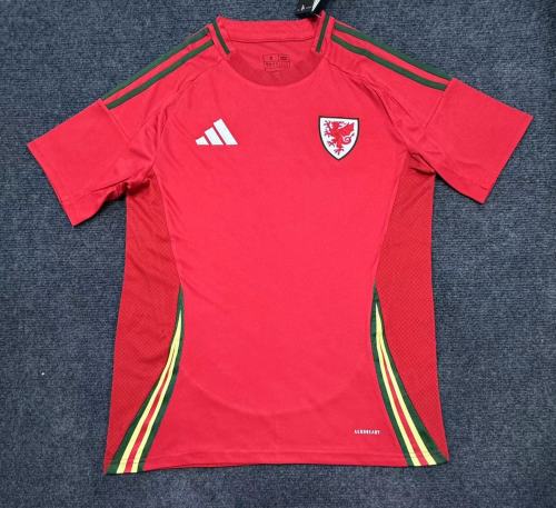 Wales Euro 2024 Home Man Jersey