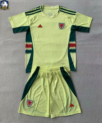 Wales Euro 2024 Away  Kids Suit