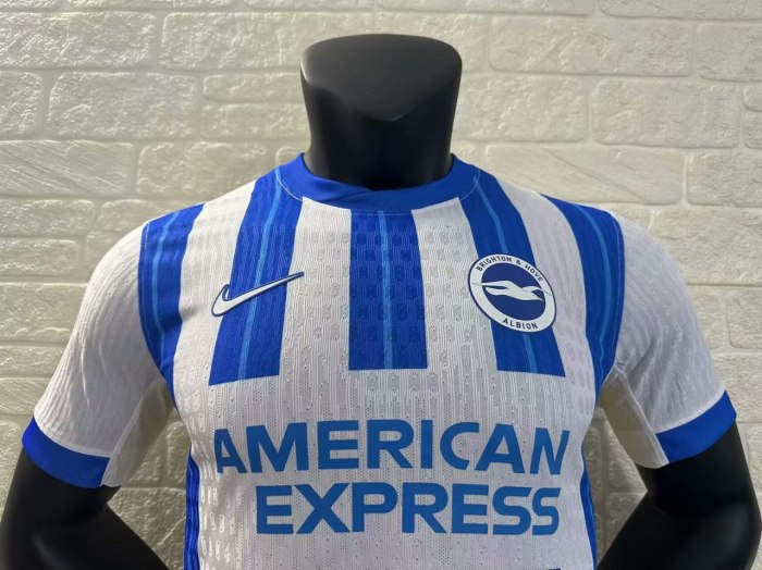 Brighton & Hove Albion Home Player Jersey 24/25