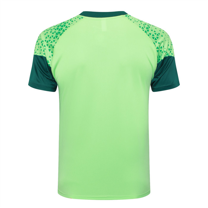 Palmeiras Training Short Sleeve Jersey 24/25