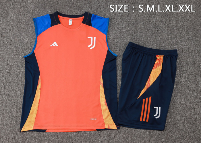 Juventus Training Jersey 24/25