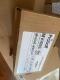 New Sealed ProSoft Technology MVI69E-MBTCP  Modbus Serial Enhanced Communication Module