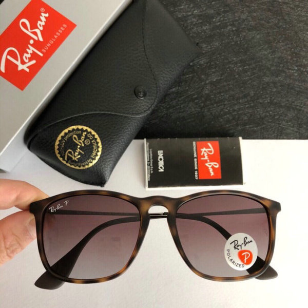 High Quality Brands Classics Sunglasses RB-862