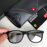 High Quality Brands Classics Sunglasses RB-854
