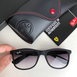 High Quality Brands Classics Sunglasses RB-855