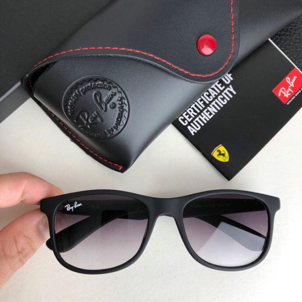 High Quality Brands Classics Sunglasses RB-855