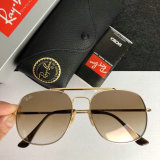 High Quality Brands Classics Sunglasses RB-695