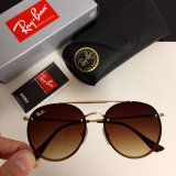 High Quality Brands Classics Sunglasses RB-367