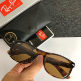 High Quality Brands Classics Sunglasses RB-575
