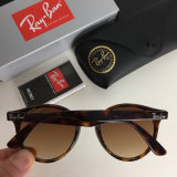 High Quality Brands Classics Sunglasses RB-518